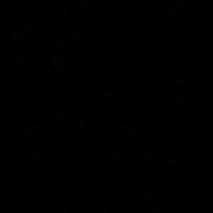 Meet your Posher, Ally